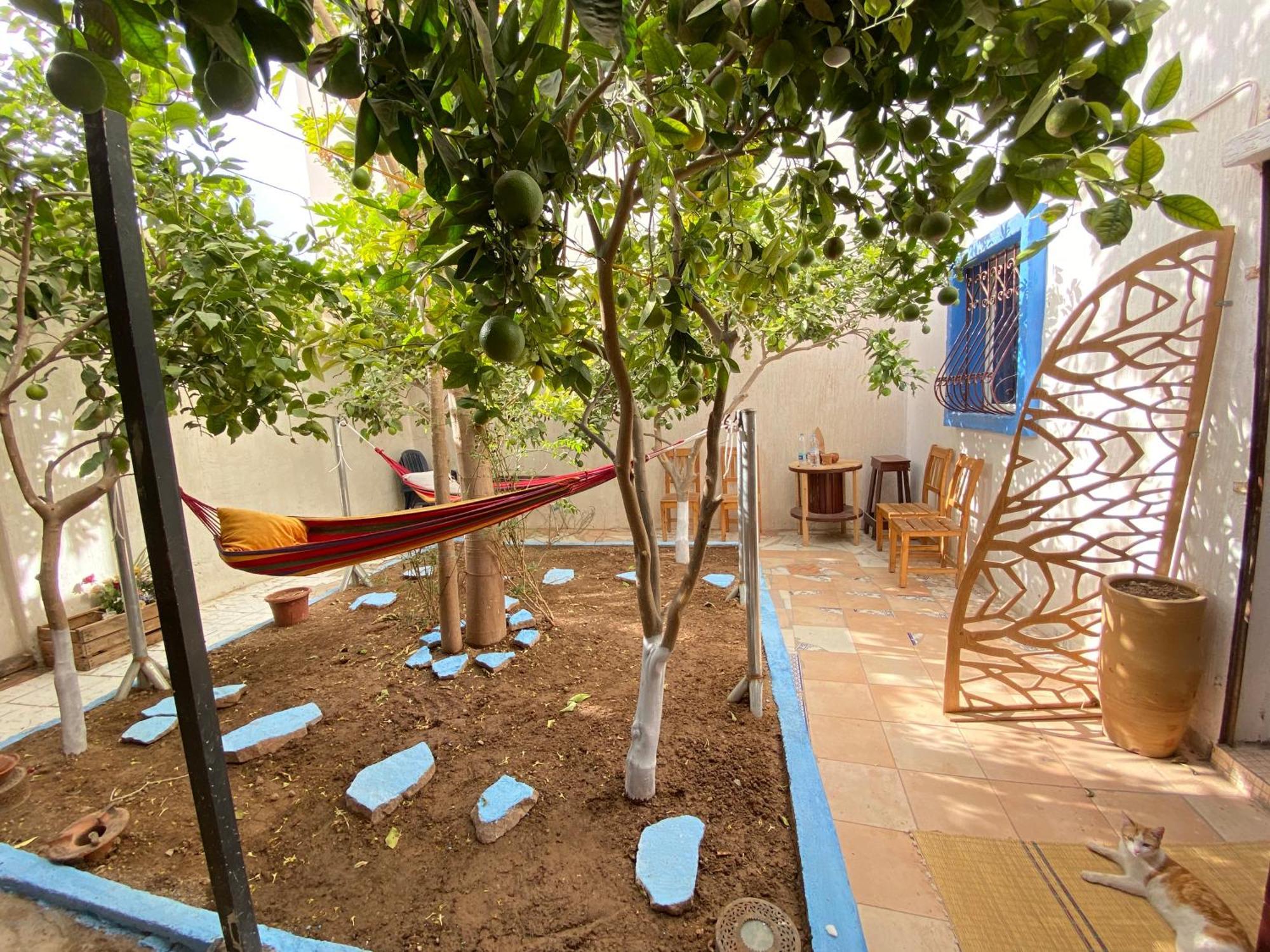 Red Carpet Surf Camp Sea, Mountain & Garden Escape Hotel Tamraght Екстериор снимка